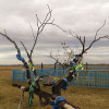Кабанск
